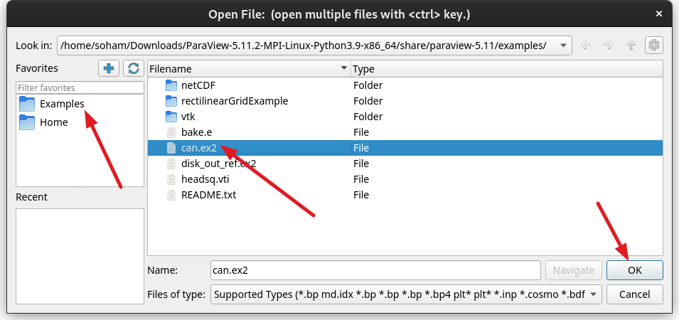 ParaView select can.ex2 from Examples folder
