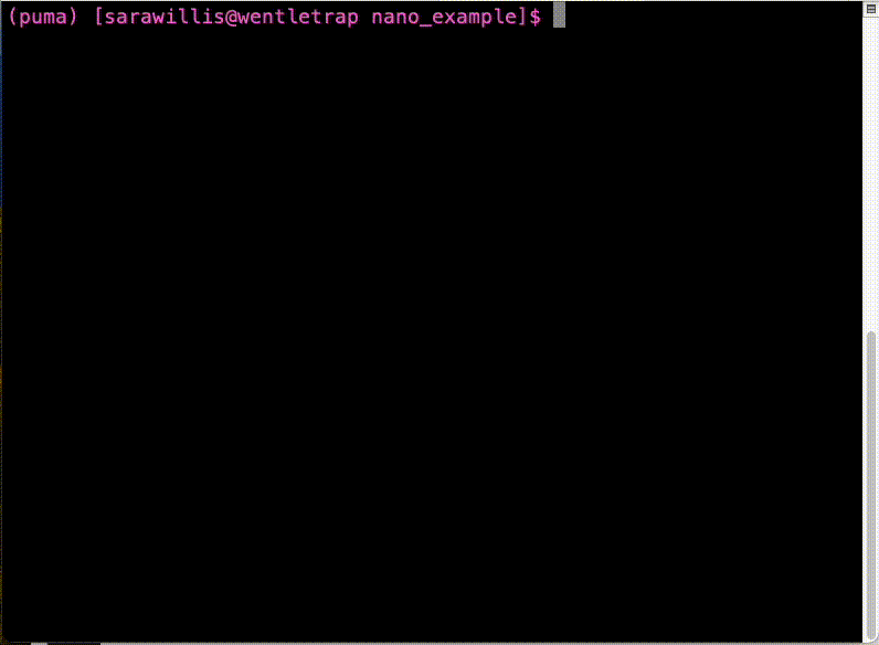 Gif showing the process of using nano