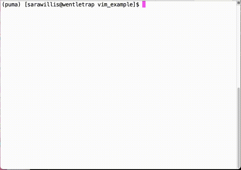 Gif showing the process of using vim